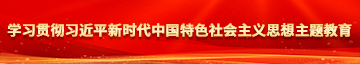 三个鸡巴操一个逼免费观看学习贯彻习近平新时代中国特色社会主义思想主题教育